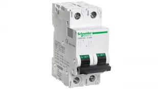 Hager Wyłącznik-nadprądowy-2P-C-50A-10kA-DC-C60H-DC-C50-2 A9N61538 - Wyłączniki światła i elektryczne - miniaturka - grafika 2