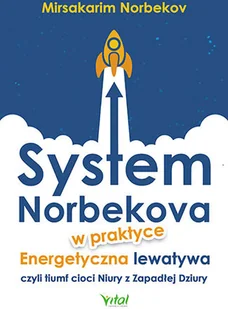 System Norbekova w praktyce - Rozwój osobisty - miniaturka - grafika 2