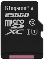 Karty pamięci - Kingston microSDXC Canvas Select 256GB (SDCS/256GB) - miniaturka - grafika 1