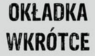 AI - podejście pragmatyczne - Podstawy obsługi komputera - miniaturka - grafika 2