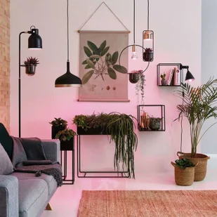 Paulmann Lampa do doświetlania kwiatów E27 R63 6,5W - Żarówki LED - miniaturka - grafika 3