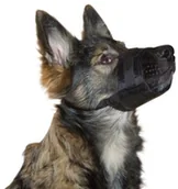 Kagańce dla psów - Kerbl 82143 Nylon kaganiec, czarny, xl 82147 - miniaturka - grafika 1