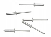 Nitownice - Nity Aluminiowe 4.0X16 MM 50 Szt. - miniaturka - grafika 1