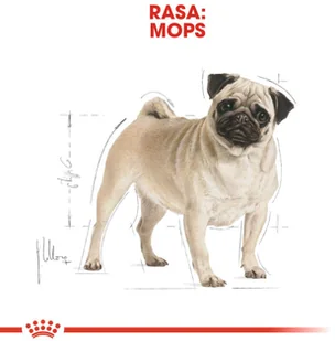 Royal Canin Pug Adult 1,5 kg - Sucha karma dla psów - miniaturka - grafika 7