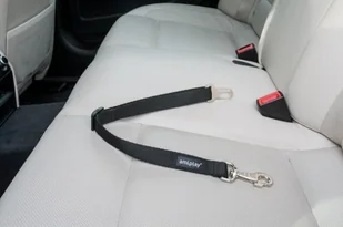 amiplay Smycz asekuracyjna Basic M Czarna amiplay - Sprzęt podróżny i transportery dla psów amiplay Smycz asekuracyjna Basic M Czarna amiplay - Sprzęt podróżny i transportery dla psów - miniaturka - grafika 1