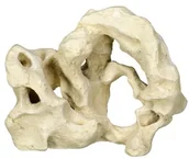 Dekoracje do akwarium - Nobby 28418 akwarium dekoracja Aqua ornamenty, kamienia, dł. 30.5 X szer. 18.5 X wys. 24.5 cm - miniaturka - grafika 1