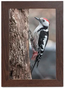 Styler Ramka 21X30 BERGEN AH czarna RST21BERG(2) - Ramki na zdjęcia - miniaturka - grafika 2