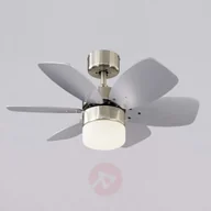 Wentylatory sufitowe - Westinghouse Flora Royal NEW - miniaturka - grafika 1