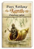 Fantasy - Nasza Księgarnia Xanth. Tom 9. Zakochany golem - Anthony Piers - miniaturka - grafika 1