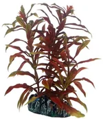 Dekoracje do akwarium - Hobby nesaea, 13 cm - miniaturka - grafika 1