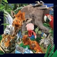 Worth-Keeping Gadżet Worth-Keeping Magnes na lodówkę 3D Dzikie zwierzęta WIKR-1000424 WIKR-1000424 - Gadżety USB - miniaturka - grafika 3