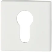 Szyldy i rozety - VDS ROZETA KWADRATOWA WKŁADKA R67F KOLOR BIAŁY 49-0085 - miniaturka - grafika 1