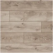 Panele podłogowe - Classen Panele podłogowe DĄB AVENUE AC5 8 mm - miniaturka - grafika 1