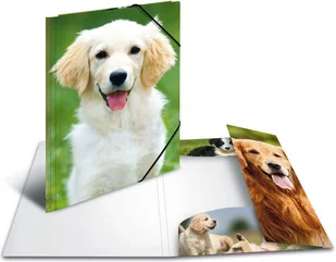 Herma Sammelmappe A3 Hunde Polypropylen 7144 7144 - Teczki i skoroszyty Herma Sammelmappe A3 Hunde Polypropylen 7144 7144 - Teczki i skoroszyty - miniaturka - grafika 1