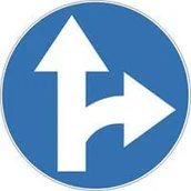 Wyposażenie miejsc publicznych - Znak drogowy nakazu C- 6 Nakaz jazdy prosto lub w prawo - miniaturka - grafika 1
