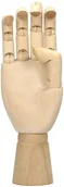 Pomoce naukowe - Leniar Model dłoni prawej 20cm 90551R - miniaturka - grafika 1