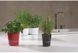 MEPAL Rosti Mepal doniczka na zioła z nawadnianiem EFN-RM-33 - Pozostałe akcesoria kuchenne - miniaturka - grafika 6