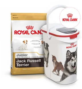Royal Canin Jack Russel Junior 3 kg - Sucha karma dla psów - miniaturka - grafika 3
