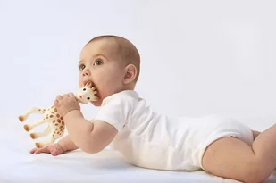 Vulli Zestaw SoPure Żyrafa Sophie wraz z gryzakiem z żywicy kauczukowca 616624 - Gryzaki dla dzieci Vulli Zestaw SoPure Żyrafa Sophie wraz z gryzakiem z żywicy kauczukowca 616624 - Gryzaki dla dzieci - miniaturka - grafika 9