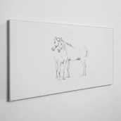 Obrazy i zdjęcia - PL Coloray Obraz Canvas Rysunek Zwierzęta Konie 140x70cm - miniaturka - grafika 1