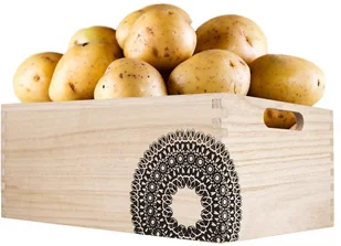 Orion Skrzynka drewniana skrzynia pojemnik MANDALA 31x21 731036 - Pudła i pojemniki do przechowywania - miniaturka - grafika 5