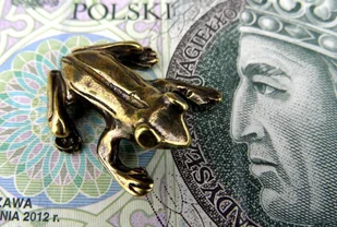 Żabka Mosiężna Średnia Z Monetą Na Pomnażanie Pieniędzy - Figurki dekoracyjne - miniaturka - grafika 3