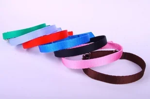 dr Seidla ZOO LESZCZ (PL) Soldina Dla Psa Taśma 16 mm / 47 cm ZL070 ZOO LESZCZ (PL) - Smycze dla psów - miniaturka - grafika 4