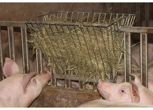 Kerbl Paśnik na siano, stal galwanizowana, 40 mm, 32704 Kerbl - Akcesoria do hodowli zwierząt - miniaturka - grafika 2