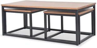 vidaXL 3-częściowy zestaw stolików kawowych, jesion - Ławy i stoliki kawowe - miniaturka - grafika 3