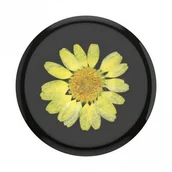 Uchwyty samochodowe do telefonów - Popsockets s uchwyt Pressed Flower Yellow Daisy - miniaturka - grafika 1