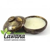 Świece - Song Of India Świeca zapachowa w kamieniu APHRODESIA - miniaturka - grafika 1