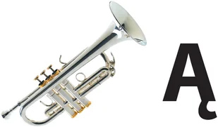 Wydawnictwo MAC Zdobywam świat. Poznaję litery - karty do czytania globalnego 882116 - Podręczniki dla szkół podstawowych - miniaturka - grafika 4