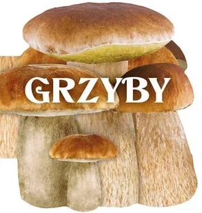 Olesiejuk Sp. z o.o. Grzyby - Praca zbiorowa - Książki kucharskie - miniaturka - grafika 2