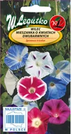 Nasiona i cebule - Legutko Wilec mieszanka o dwubarwnych kwiatach - miniaturka - grafika 1