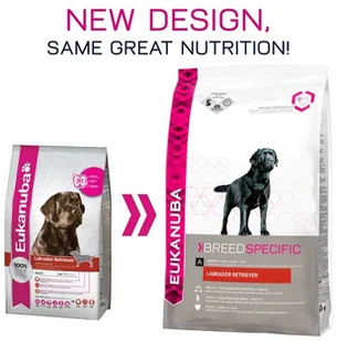 Eukanuba Breed Specific Adult Labrador Retriever 12 kg - Sucha karma dla psów - miniaturka - grafika 2