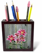 Pojemniki biurowe - 3dRose 3dRose ph_228229_1 15 cm"Stargazer Lily by Rustic Fence" uchwyt na długopisy do płytek ph_228229_1 - miniaturka - grafika 1