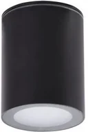 Lampy ogrodowe - AZZARDO PAPIKO AZ4216 downlight natynkowy 1x50W/GU10 IP65 AZ4216 - miniaturka - grafika 1