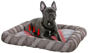 Kerbl Legowisko dla psa Pablo, 120x80 cm, szary, 80367 80367 - Legowiska dla psów - miniaturka - grafika 4