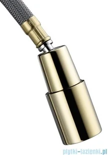 Blue Water Plaza bateria kuchenna z wyciąganą wylewką złota 5901730615804 - Baterie umywalkowe - miniaturka - grafika 4