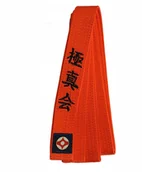 Kimona, stroje i obuwie - Pasy Pas Do Kyokushin Karate Pomarańczowy 220 cm - miniaturka - grafika 1