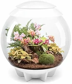 Terraria - biOrb biorb Air Biały terrarium kompletny zestaw, wzornictwo, z wewnętrznym i efekt mgły - miniaturka - grafika 1