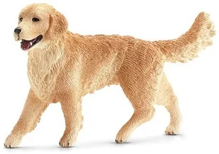 Schleich Golden retriever, suczka SLH-16395 - Figurki dla dzieci - miniaturka - grafika 3