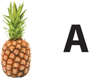 Wydawnictwo MAC Zdobywam świat. Poznaję litery - karty do czytania globalnego 882116 - Podręczniki dla szkół podstawowych - miniaturka - grafika 2