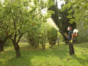 OLEO-MAC ITALIA MB 800 OPRYSKIWACZ SPALINOWY PLECAKOWY TURBINOWY 14L MOC 5 KM PREMIUM 365280020E2C - Opryskiwacze - miniaturka - grafika 8