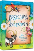 Lektury szkoła podstawowa - Greg Brzechwa dzieciom - Jan Brzechwa - miniaturka - grafika 1