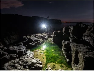 Fenix Latarka diodowa PD35 V3.0 039-492 - Latarki - miniaturka - grafika 6