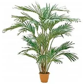 Sztuczne drzewka - Europalms EUROPALMS Kanaryjska palma daktylowa z trudnopalnymi liśćmi, sztuczna 240 cm 82511311 - miniaturka - grafika 1