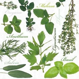 PAW DECOR COLLECTION Serwetki HERBAL TASTE PAW DECOR COLLECTION - Folia, papier śniadaniowy, serwetki - miniaturka - grafika 3