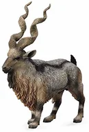 Figurki dla dzieci - Collecta Koza śruboroga Markhor 88641 - miniaturka - grafika 1