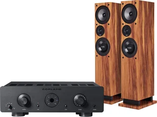 Copland CSA100 + Response DT8 - Zestawy stereo - miniaturka - grafika 4